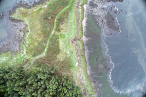 Ulla Estuary